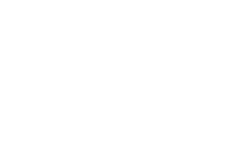 Logo Dunlop Sport